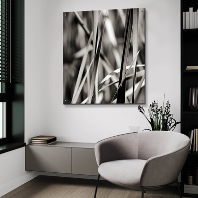 " Leaves BW 01 " by Tom Quartermaine