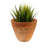 Metal Planter Stand with Terracotta Planters