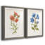 «Botanical I», ensemble de 2 reproductions d'art-271774455-271774477-271774445