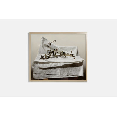 January Island (White) Print by Sarah Bird