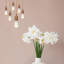 1 - Light Simple Pendant-998368751
