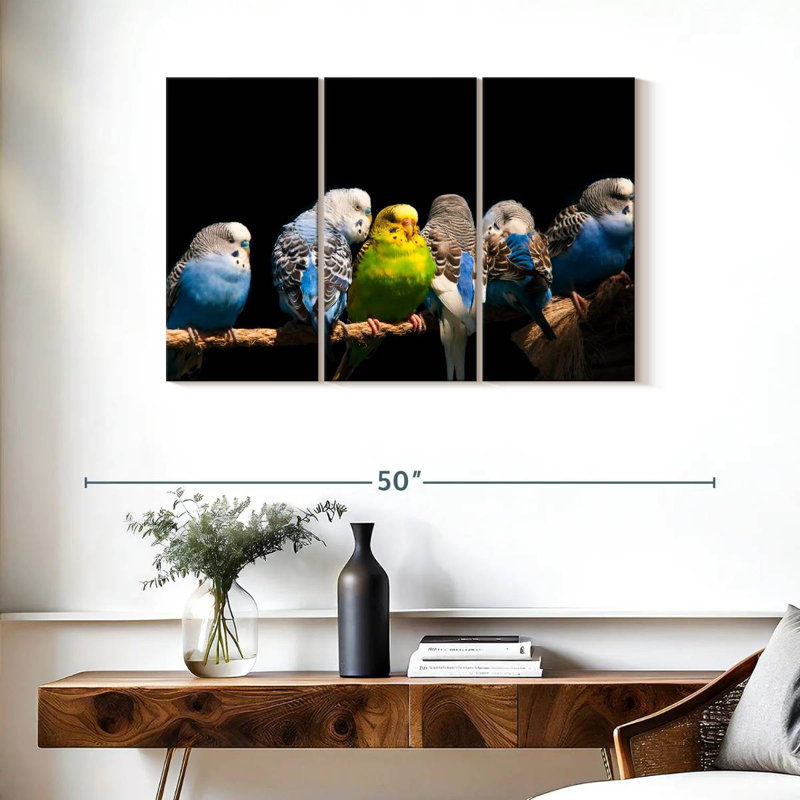 Budgerigars sur une corde, H 24 po x l 38 po