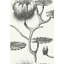 Contemporary Restyled Floral Wallpaper Roll-29098848