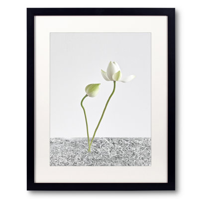 White Light #003 Print by Keiichiro Muramatsu