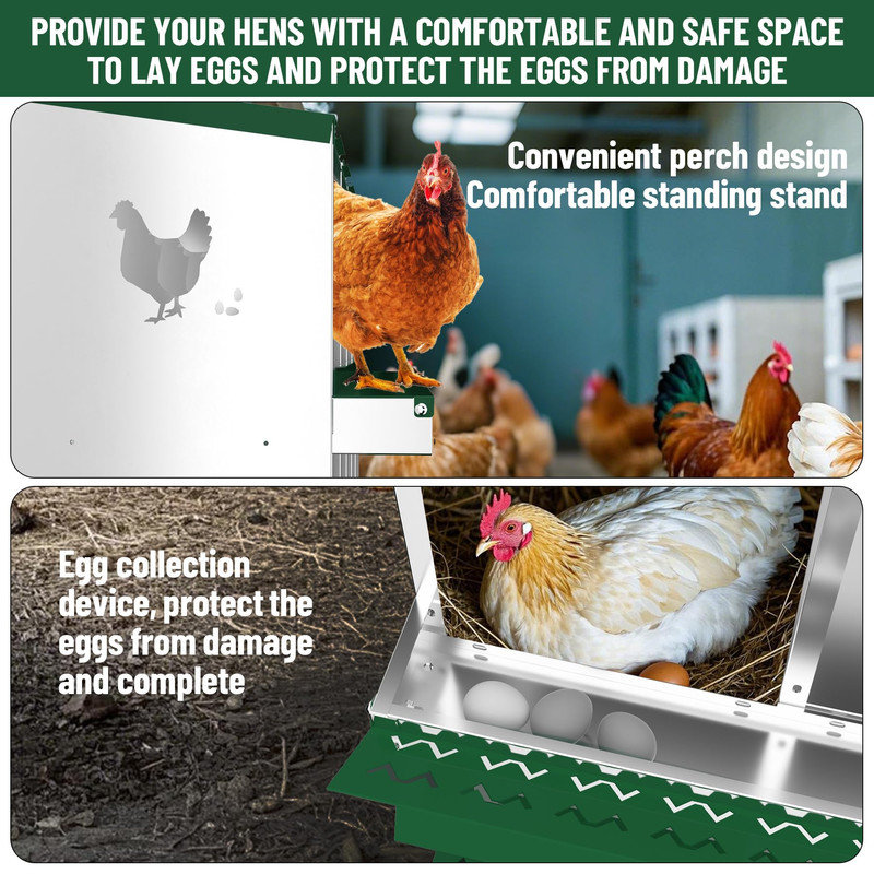 Boîte de nidification galvanisée à 8 trous avec panier à œufs enroulable et système de poulailler ventilé, Green