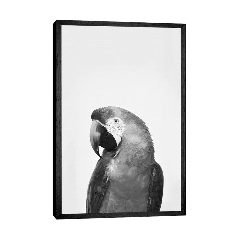 Parrot In Black & White by Sisi & Seb - Gallery-Wrapped Canvas Giclée on Canvas, 66.04 cm H x 45.72 cm W, Black Framed