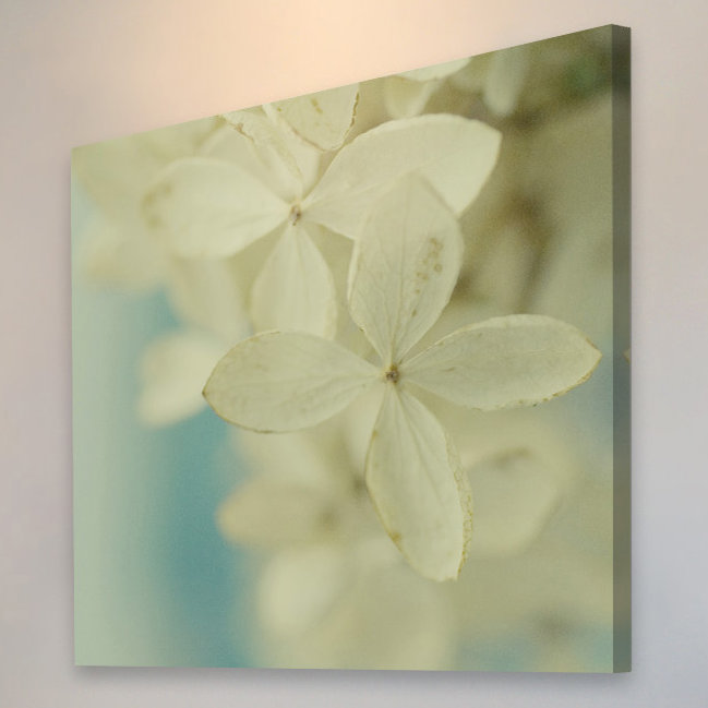 Judy Stalus - Wrapped Canvas Print, 61cm H x 61cm W x 3.81cm D