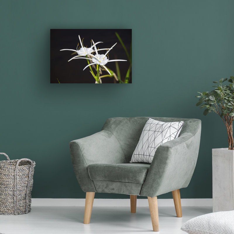 "Robert Traub", "Robert Traub Spider Lily", art sur toile, H 12 po x l 19 po x P 2 po