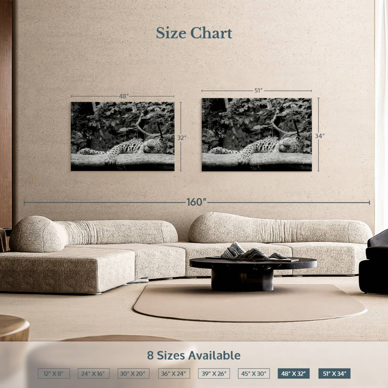 Brampt Jaguar Asleep