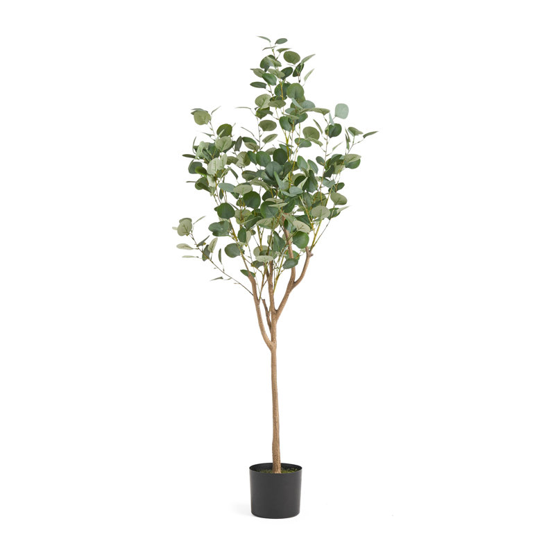 Eucolites de Zylo, plante verte, 59 pouces, polyester vert