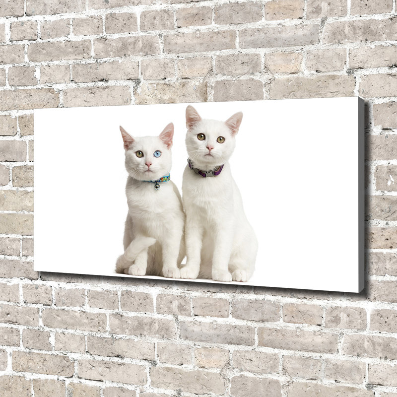 White Cats - Wrapped Canvas Print