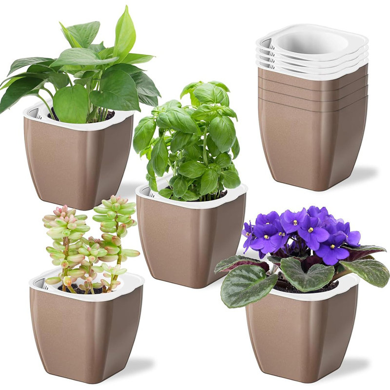 Paquet de 8 pots de fleurs décoratifs de 4 pouces pour ...