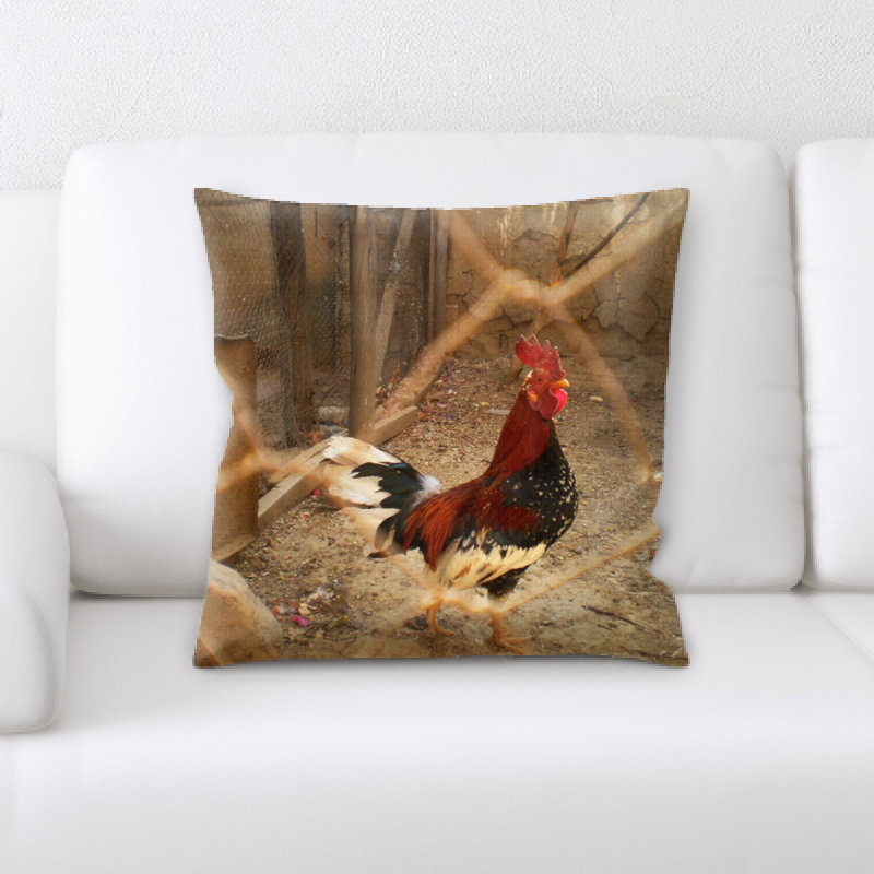 Coussin Andice
