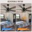 Ventilateur de plafond 52 pouces Farmhouse