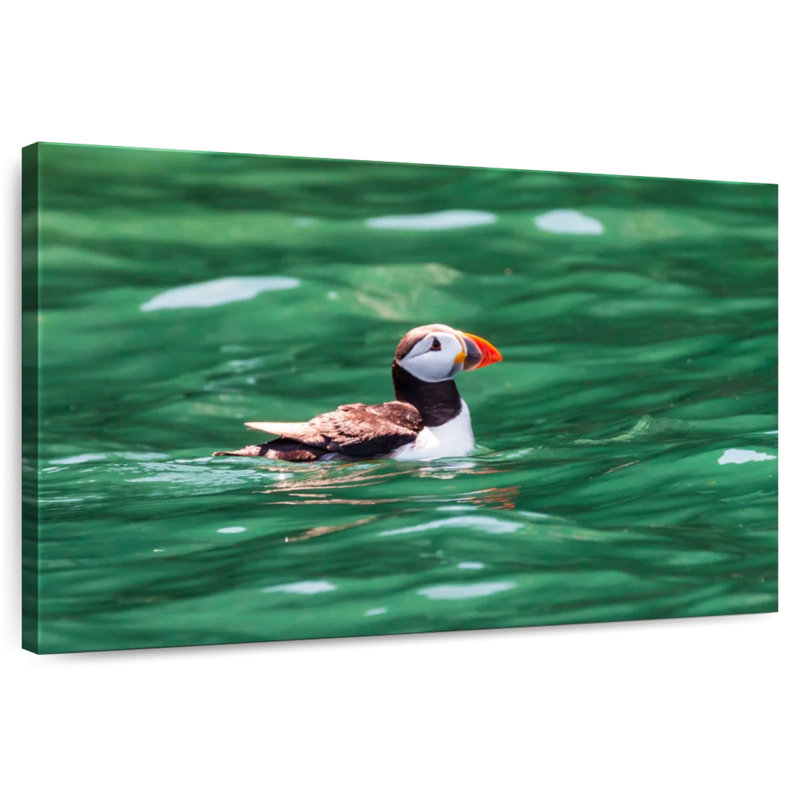 Crowle Floating Puffin, 34" H x 51" W