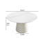 Iconie ronde-1677516380-1666396972