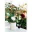 Marble Toothbrush Holder-1360290876