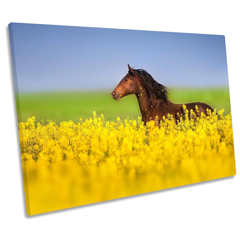 Horse Field Floral - Wrapped Canvas Print, 30.5cm H x 45.7cm W