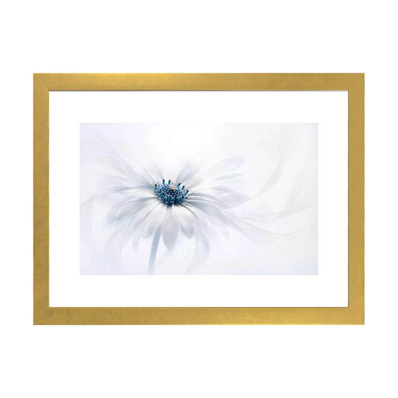 " Serenity " by Jacky Parker, White, 16'' H x 24'' W x 1'' D, Gold Paper