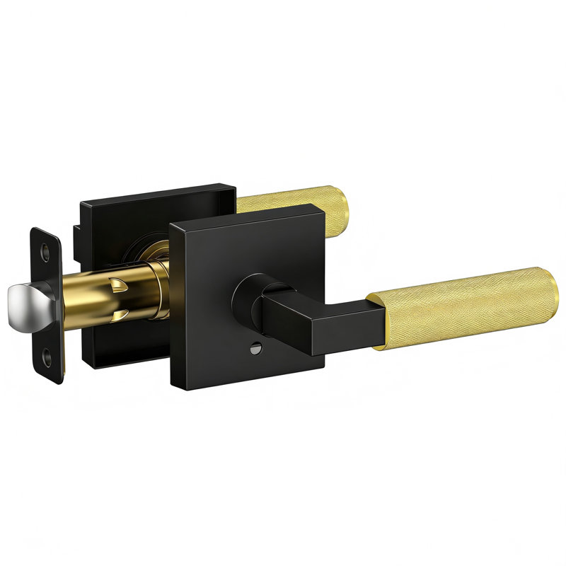 Levier d'intimité avec rosette carrée pour lit et salle de bain, Noir mat