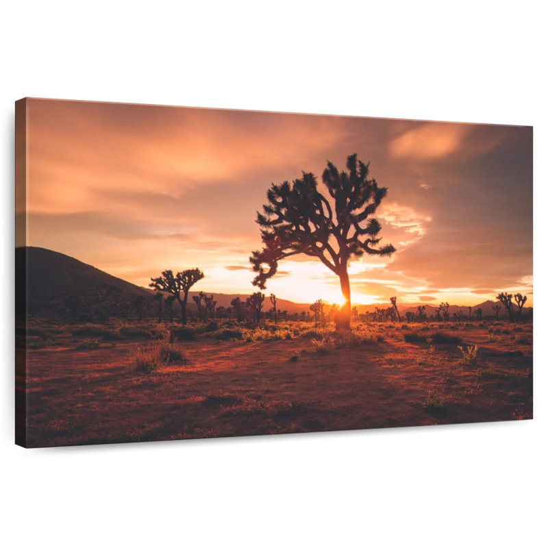 Nicci Joshua Tree Desert Sunset, 8" H x 12" W