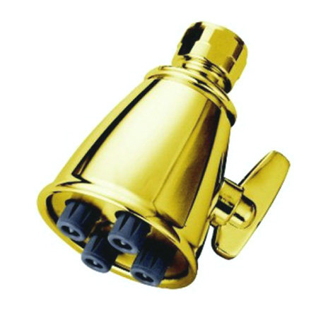 Hot Springs Jet Adjustable Shower Head, Polished Brass
