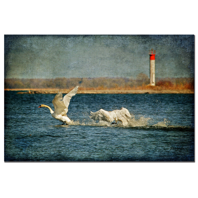 Lois Bryan 'Swans' 27" x 20" Canvas Art Print