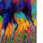 «Bull Moose» par Kucera, reproduction sur toile tendue-22074085