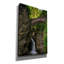 «Footbridge In Watkins Glen» par Rick Berk, art mural sur toile-1357007029