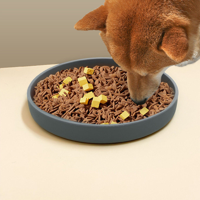 Pet Bowl