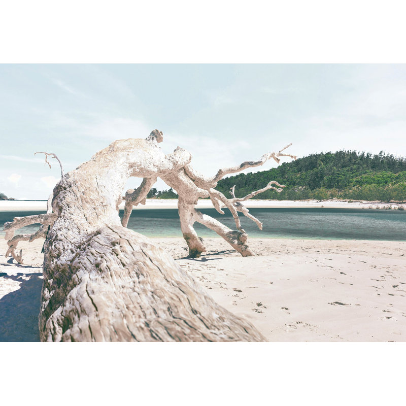 Driftwood Perspective Print