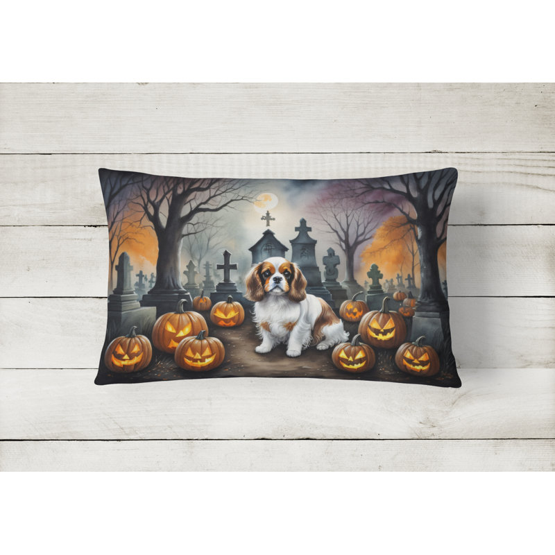 Other/No Pattern Outdoor Throw Pillow