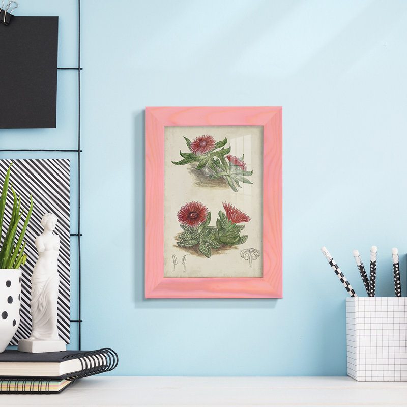 Cactus antique V encadré sur papier, H 6 po x l 4 po x P 1 po, Rose