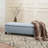 Storage Bench-180491101