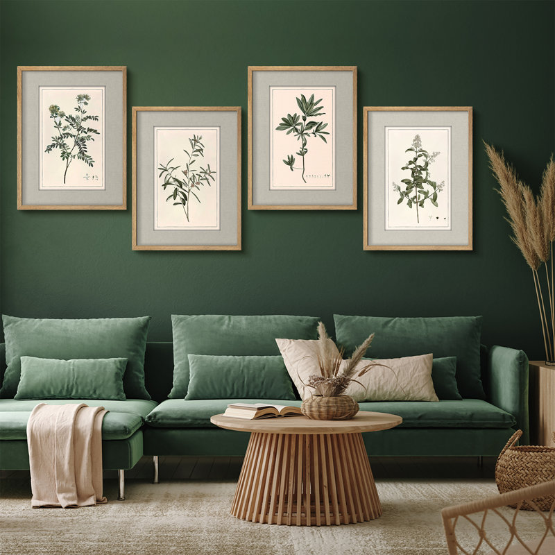 Vintage Botanical Herb Study Framed Wall Art Prints Set of 4 - Classic Plant Illustration for Living Room Office, Natural