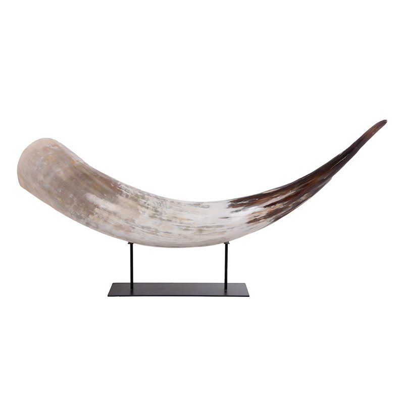 Large African Watusi Cattle Horn on Display Stand