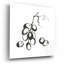 «Grapes I BW» par Chris Paschke-1783545375