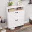 Armoire de rangement pour chaussures avec 2 tiroirs rabattables et design - Blanc antique autoportant pour vestibule, vestibule, couloir
