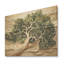 Tree American Basswood Collage II - Arbre sur bois-453342498