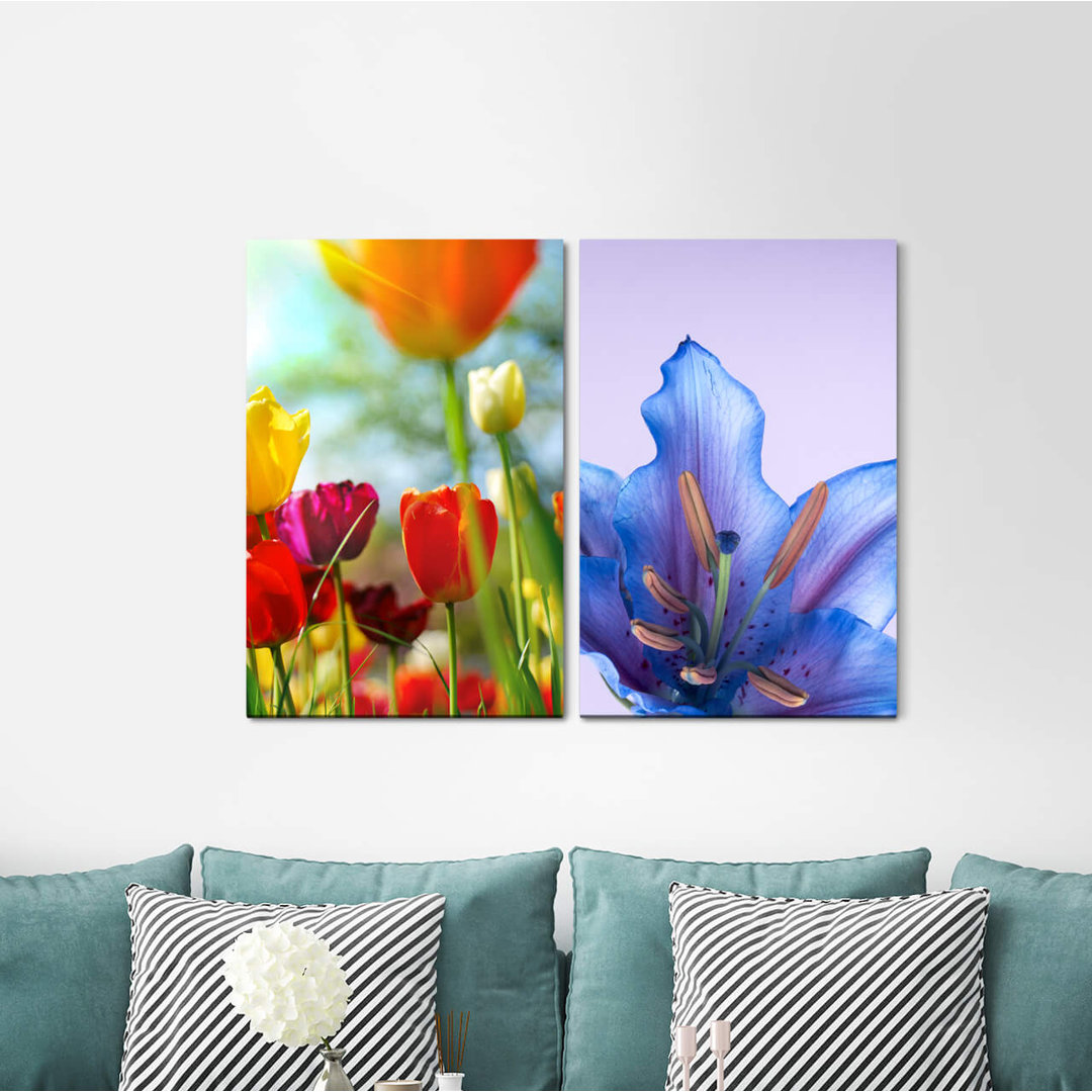 2-tlg. Leinwandbilder-Set - Fotografie „Tulips Flowers Summer Colourful Beautiful”