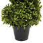 98cm Plant