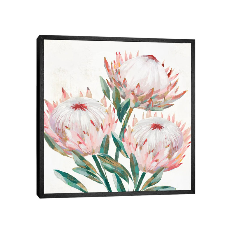 King Protea II by Isabelle Z - Painting on Canvas, Black Framed, 66.04 cm H x 66.04 cm W