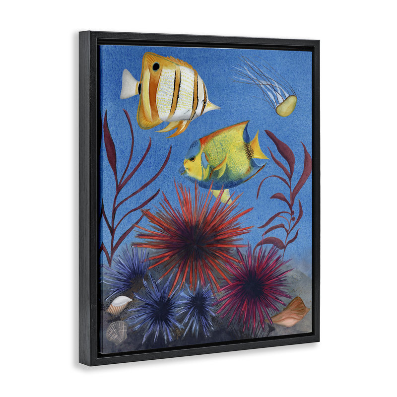  «Seafaring Fish & Urchins», art mural sur toile par Michelle Ingari Designs, Cadre flottant noir de jais, H 21 po x l 17 po