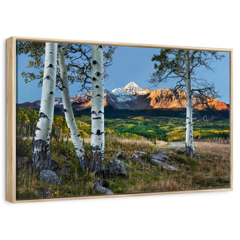 Wilson Wilson avec trembles au premier plan, 25 po x 17 po, Cadre flottant en bois naturel