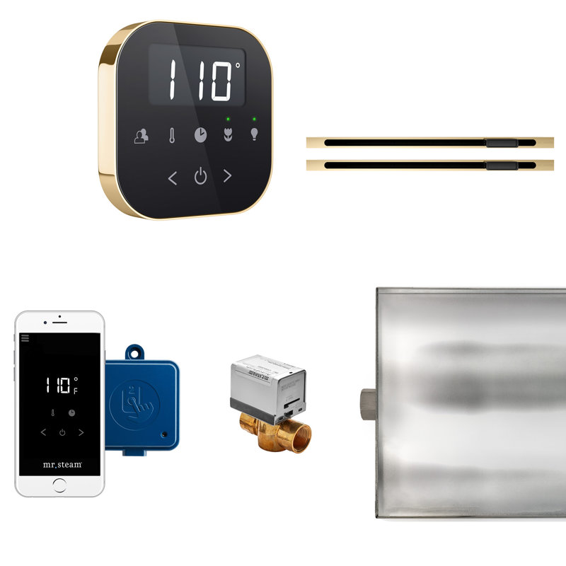 Steam Generator Control, Black/Polished Brass