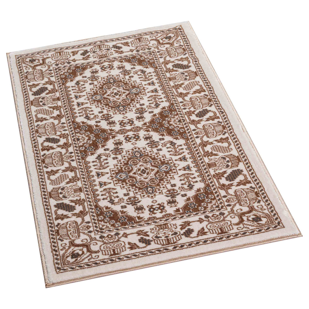 Oriental Indoor / Outdoor Area Rug