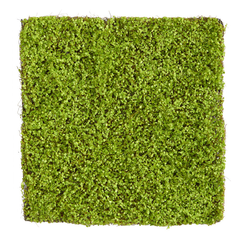 20'' Faux Foliage Topiary