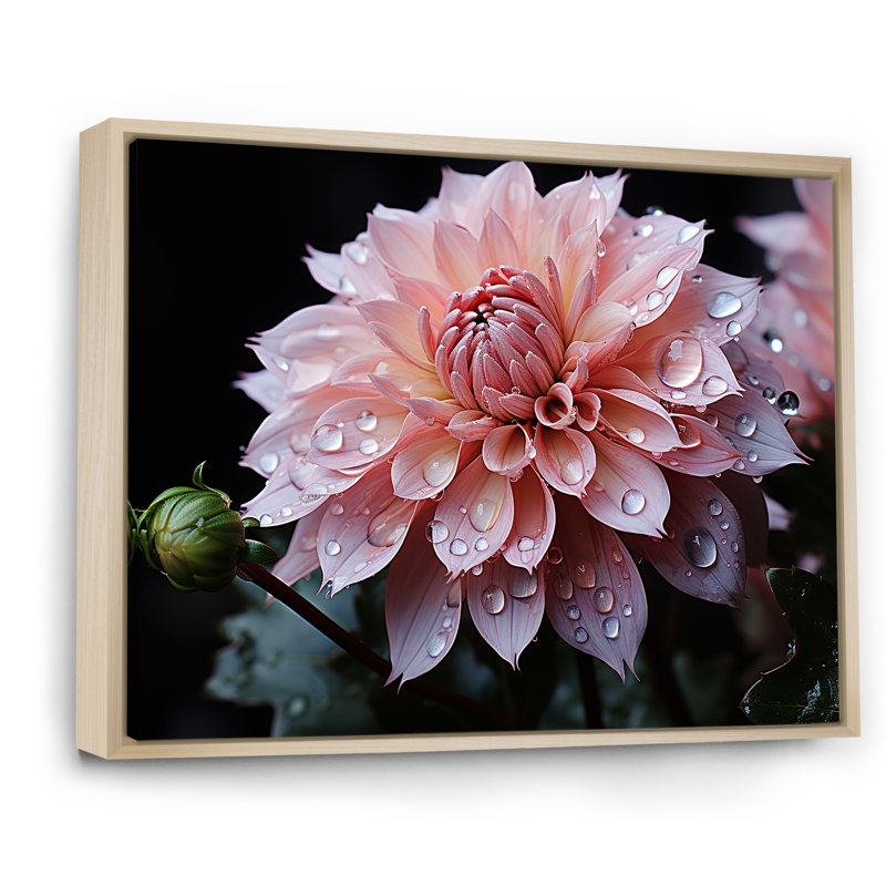 «Elegance in Pink Dahlia Floweret», reproduction sur toile, Cadre naturel flottant, H 30 po x l 40 po x P 1,5 po