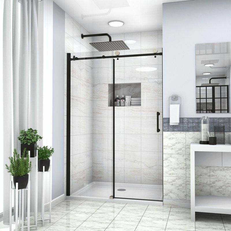 Shower Door with Glass, Black
