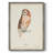 Tawny Owl Framed Print - Solid Wood-847941644